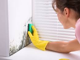 These fungi feed on organic materials, which include wood, many types. How To Get Rid Of Musty Smell In Basement With A Few Quick Tips