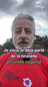 Association Terre des Plantes