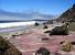Carmel By The Sea