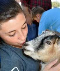 Ex-Council leader gets jail P