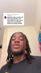 The Max Pitbull Incident Explained