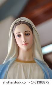 1+ Thousand Ave Maria Church Royalty-Free Images, Stock Photos & Pictures