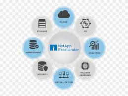 King of the road roger miller a. 2nd Batch Of Netapp Excellerator Program Graduates Circle Hd Png Download 650x600 4975331 Pngfind