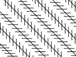 Image result for illusion pictures