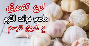 ما فائدة الثوم على الريق للجسم vegetables garlic food