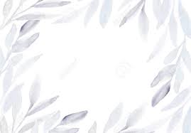 Winter Plant Background Elegant Feminine Minimalist Leaves Frame Stock Photo Picture And Royalty Free Image Image 114970599 Download 890+ royalty free framed frame border minimalist minimalism vector images. winter plant background elegant feminine minimalist leaves frame