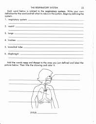 Pin On Respiratory System Projects