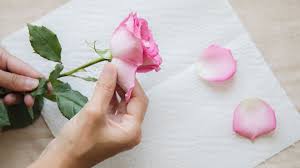 There are certain flowers that can be dried whole, like chamomile, dandelion, lavender, and calendula. How To Harvest And Dry Rose Petals