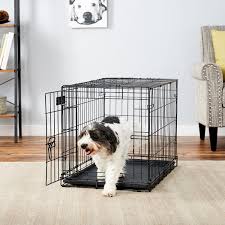 Midwest Icrate Single Door Fold Carry Dog Crate 30 In