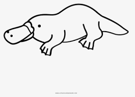 You can use our amazing online tool to color and edit the following platypus coloring pages. Platypus Png Images Free Transparent Platypus Download Kindpng
