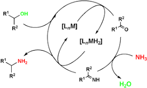 Direct Amination Of Secondary Alcohols Using Ammonia Pingen 2010 Angewandte Chemie International Edition Wiley Online Library