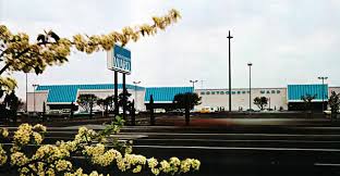 Image result for Turquoise 1964 Montgomery Ward