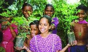 Cara Memasak Daun Kelor Yang Benar Daun Kelor Penangkal Ilmu Hitam Cara Memasak Daun Kelor Untuk Obat Manfaat Daun Kelor Bagi Kecantikan Tumi Cara Memasak Kelor