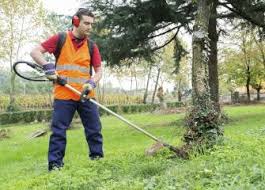 You could offer basic services such as mowing and trimming, or if you have a more artistic eye, you could do creative landscaping. Bureau Of Labor Statistics
