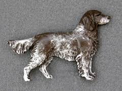 Image result for Malý münsterlandský ohař