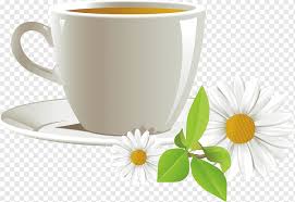 Tea is one of the oldest drinks. Jasmine Tea Png Images Pngwing