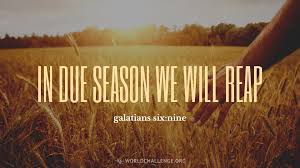 Galatians 6:9 | worldchallenge.org