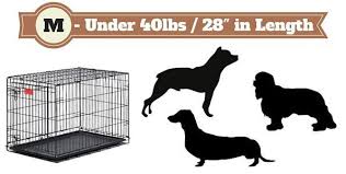 Best Dog Crates Type To Get Complete Guide Of Lab Cages 2019