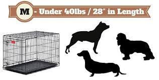 best dog crates type to get complete guide of lab cages 2019