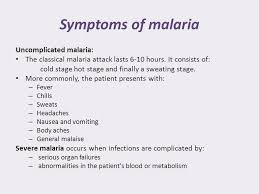 But with infections from some parasite species, signs of. Epidemiology Of Malaria Ppt Video Online Download