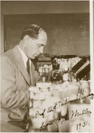 Hermann joseph muller on wn network delivers the latest videos and editable pages for news & events, including entertainment, music, sports, science and more, sign up and. Muller Hermann Joseph 1890 1967 Professor Of Zoology At The Download Scientific Diagram