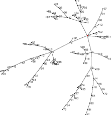 Example Of A Bootstrap Graph Download Scientific Diagram