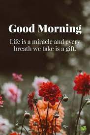 Check spelling or type a new query. Images Of Good Morning With Beautiful Quotes And Flowers Pestcare Jakarta
