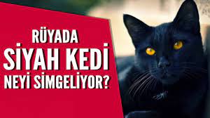 ruyada siyah kedi gormek mehmet emin kirgil youtube