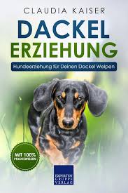dackel erziehung hundeerziehung fur deinen dackel welpen teckel ebook epub claudia kaiser