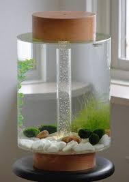 Home Aquarium Gets A Scandinavian Redesign Design Milk Fish Tank Design Fish Tank Coffee Table Aquarium Design