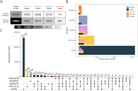 Financial support is therefore critical to the wellbeing of people living with cancer and their families. Measuring Pathway Database Coverage Of The Phosphoproteome Peerj