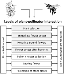 Biotic factors in the ecosystem are producers, consumers and decomposers, whereas abiotic factors are inorganic, organic and physical components. Urbanisation Modulates Plant Pollinator Interactions In Invasive Vs Native Plant Species Scientific Reports