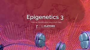 A nice review of the past and future of chipseq. Epigenetics3 Histone Modification And Chip Seq Youtube