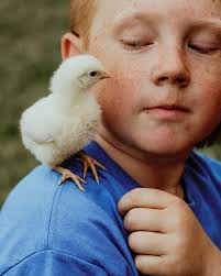 On Monday Dustee got his first base hit and made it all the way around to  run across home plate! He ran straight to his mom for a high five. 🥺❤️ I