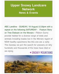 Watch Abc Landline 12 30pm To Learn More About The Tree Dieback On The Monaro Destinationjindabyne For Best Mountain Bikes Biking Workout Mountain Biking