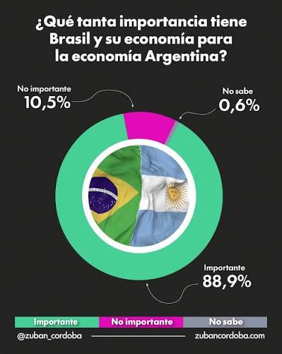 Nuevas encuestas miden el impacto de la pelea de Milei con Lula Zuban  Córdoba expone el mayoritario rechazo argentino a los ataques de Javier  Milei a Lula Da Silva. El 70,5% de