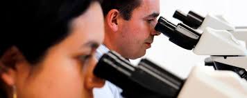 Vicerrectoría Administrativa y Financiera