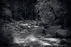 Hilarious tweets about packing for a trip. Wallpaper Sunlight Trees Landscape Mountains Dark Rock Nature Watch Love Reflection Sky Road Earth Branch Evening River Alone California Joy Nikon Wet Imagination Vision Wilderness Dusk Stream Drive Spring Hiking Quiet