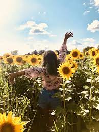 Check spelling or type a new query. Photo Ideas In Sunflower Field Novocom Top