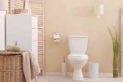How To Fix A Toilet Flush Button | Checkatrade