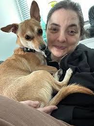 Denise Annunziata's Instagram, Twitter & Facebook