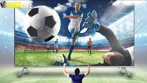 Live football Socolive today: broadcast schedule and quick viewing link -  Legitpredict.com