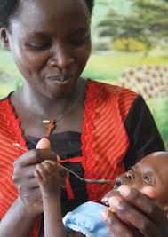 Solidarity in Action