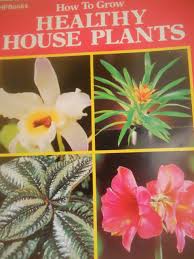This page is about common flowering indoor house plant identification,contains interiorscaping compendium: How To Grow Healthy House Plants Rob Herwig 9780895860262 Amazon Com Books