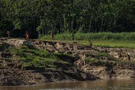 Dom Phillips and Bruno Pereira's deaths show the Amazon's destruction -  Washington Post