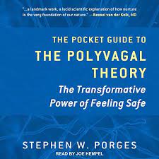 Amazon Com Befriending Your Nervous System Looking Through The Lens Of Polyvagal Theory Audible Audio Edition Deborah Dana Lcsw Deborah Dana Lcsw Sounds True Books