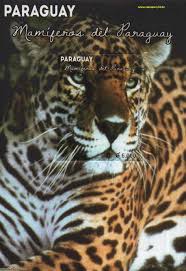 Tiere auf der granja francisca in der colonia independencia guairá paraguay anzeige: Tiere Raubkatze Jaguar Paraguay Stamp 365456 Stampworld Briefmarken Online Shop Gero Gonser