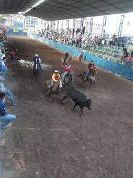 Los mejores videos de ferias con una gran variedad !! Caballos En La Feria De San Sebastian Gustavo Mirabal Gustavo Mirabal Mundo Ecuestre