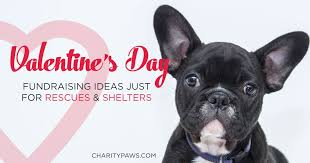 But according to th… valentine yepez needs your support for valentine's name change. 10 Valentine Fundraiser Ideas For Your Rescue Or Shelter