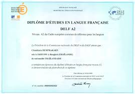 Official Delf A1 A2 B1 B2 Sample Papers 2014 Free Premium Delf A2 Sample Papers